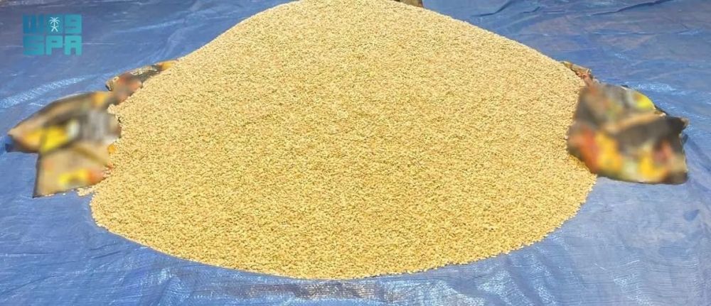 إحباط محاولة تهريب نحو 2.5 مليون قرص من الإمفيتامين المخدر