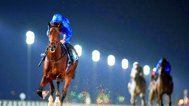 الامارات | 6 جياد صنعت التاريخ  في كأس دبي العالمي