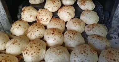 شعبة المخابز تشيد بتحمل الحكومة فرق أسعار السولار للمخابز