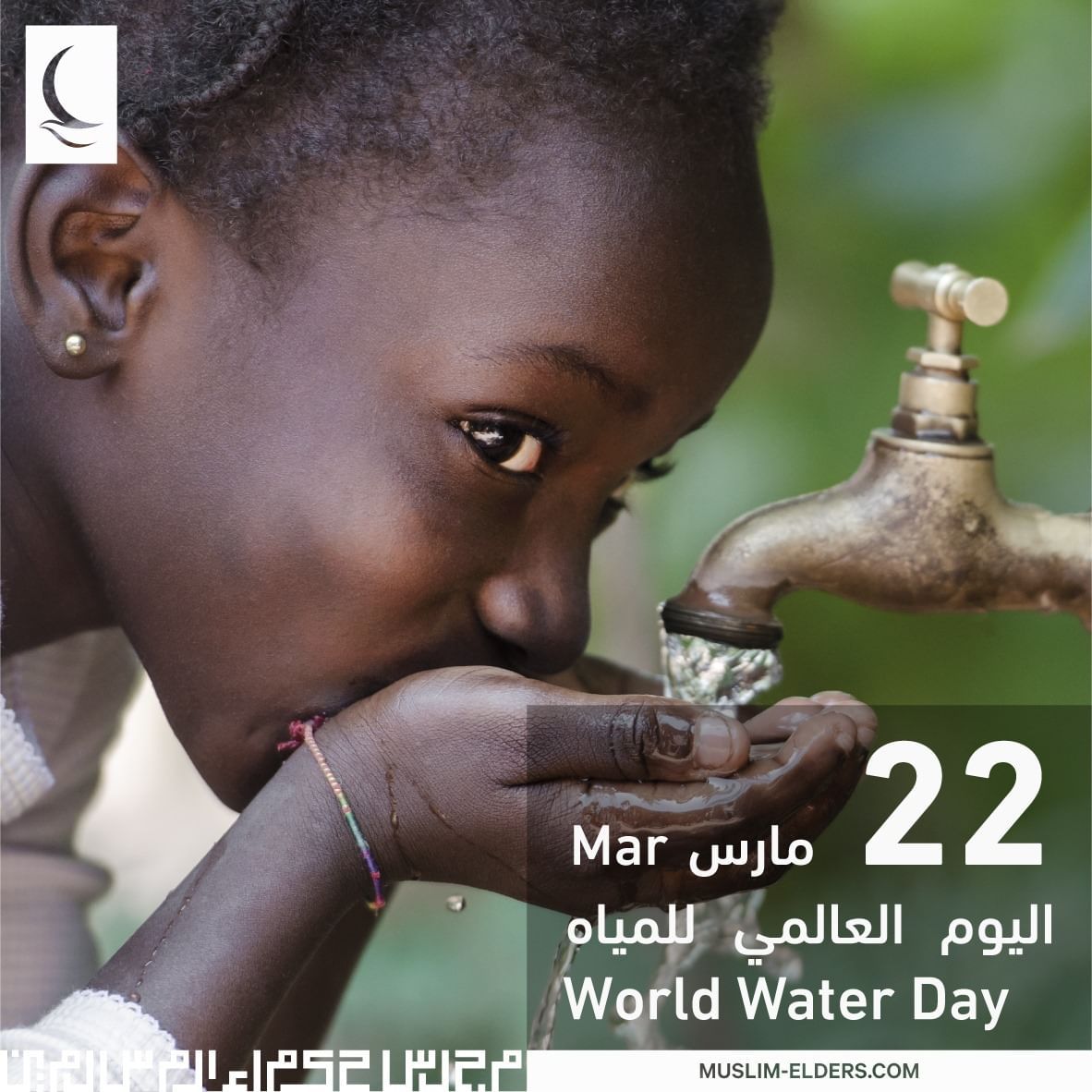 الامارات | "حكماء المسلمين"يشيد بـ “مبادرة محمد بن زايد للماء”