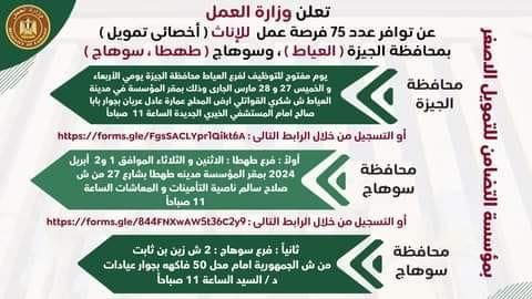 للإناث.. العمل تعلن عن توفير 75 فرصة بمحافظتين خلال أيام – (تفاصيل)
