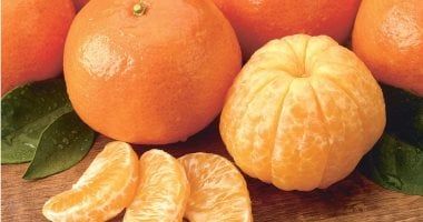 صادرات مصر الزراعية تتجاوز 3 مليارات دولار بنهاية 2023 واليوسفى يتصدر