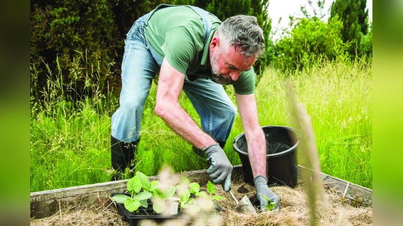 الامارات | أعمال القطع والحفر والغرس.. مفيدة لعضلات البطن والظهر