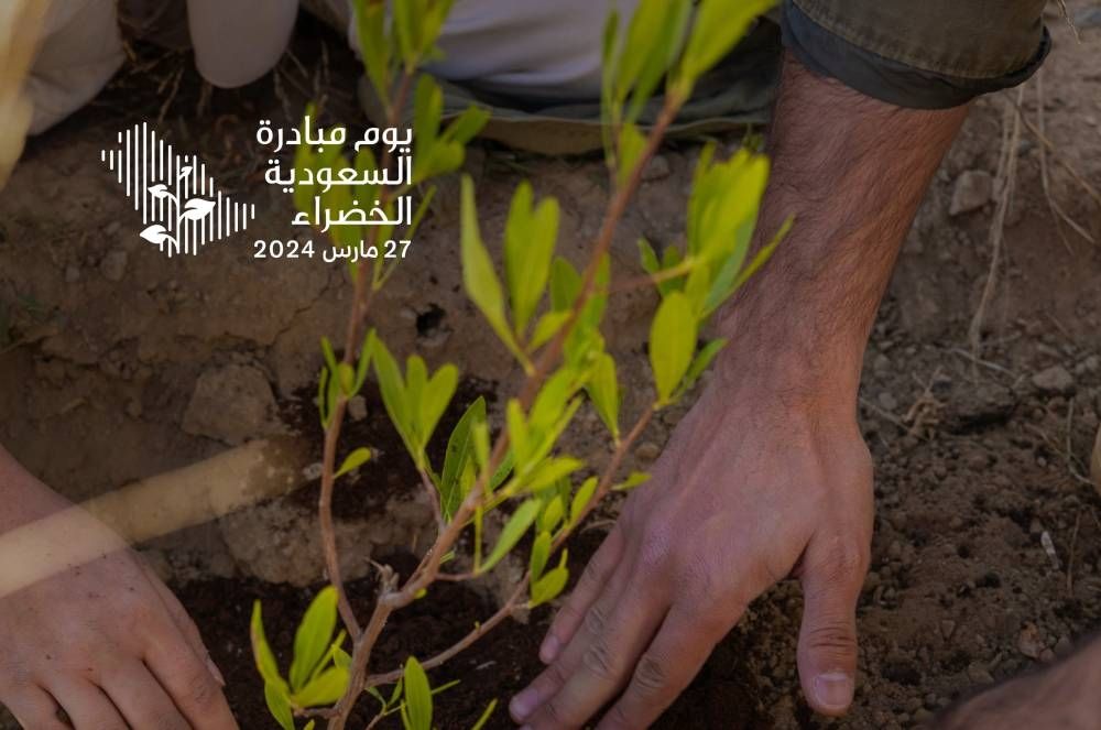 يوم مبادرة السعودية الخضراء.. التزام سعودي لبناء مستقبل أكثر استدامة