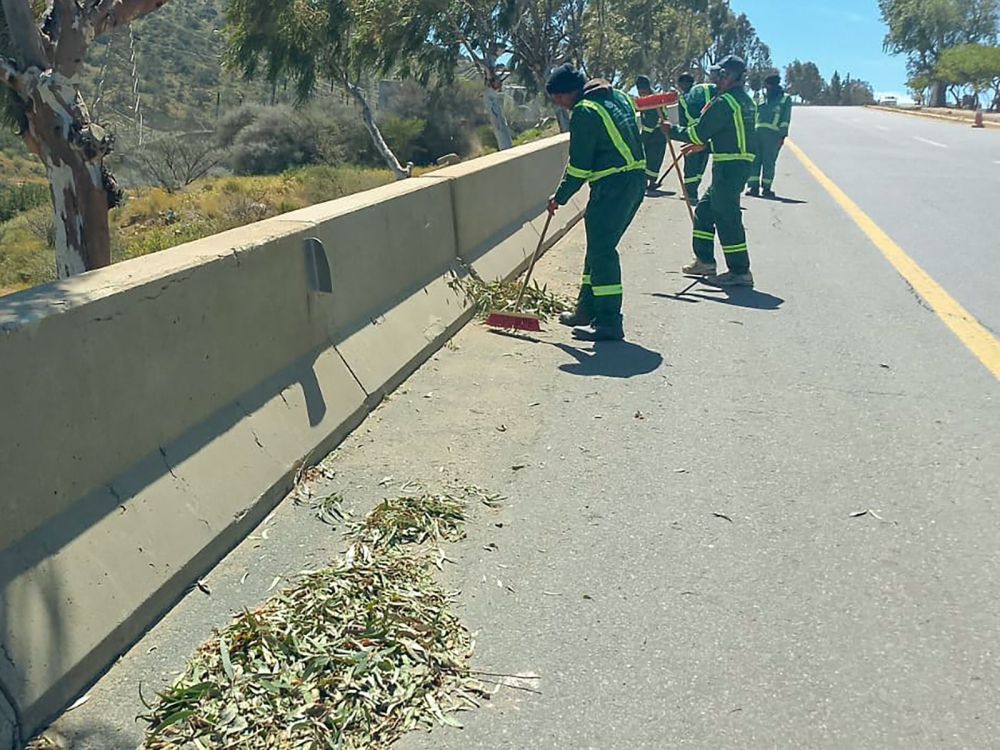 أمانة الطائف تبدأ المرحلة الثانية من خطتها التشغيلية للنظافة والصحة العامة