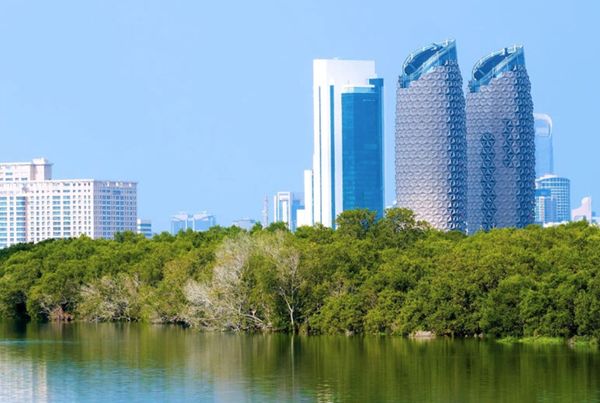 اختيار أبوظبي عاصمة للبيئة العربية لعام 2023