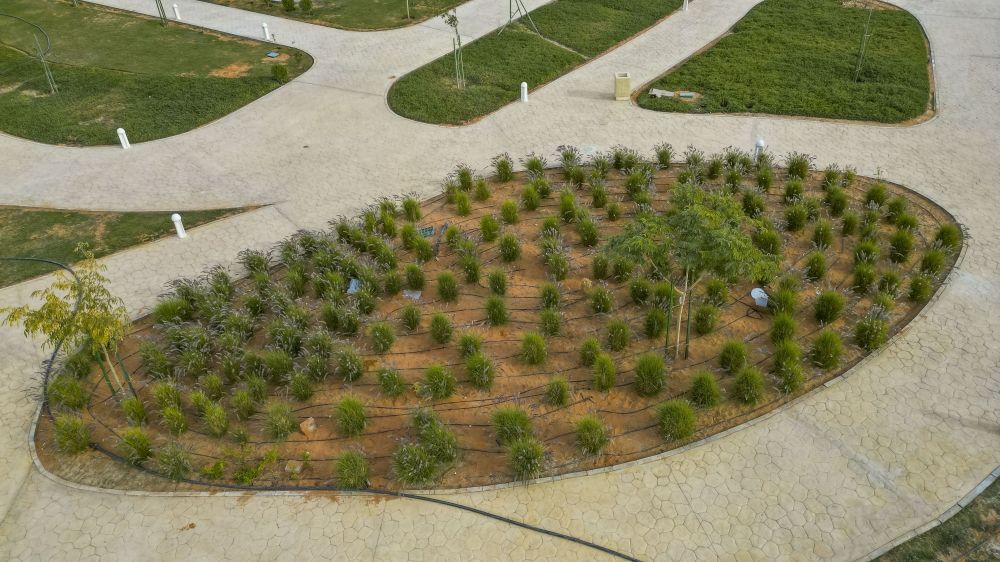 السعودية الخضراء.. "الإسكان" تستهدف زراعة أكثر من 1,3 مليون شجرة