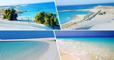 شركات القابضة للتشييد تشد الرحال للعمل فى مشروع رأس الحكمة وتبدأ بتجهيز مستنداتها