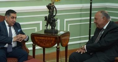 سامح شكري يبحث مع وزير بريطاني التحركات الدولية لوقف إطلاق النار في غزة