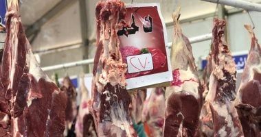 معرض أهلا رمضان بالعمرانية يطرح كيلو اللحم البلدى بـ270 جنيها والمفروم بـ260