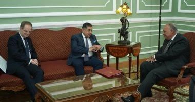 وزير الخارجية يؤكد أولوية الوقف الكامل لإطلاق النار فى قطاع غزة