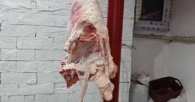 الطب البيطرى: ضبط 19 طن لحوم غير صالحة للاستهلاك الآدمى فى الجيزة