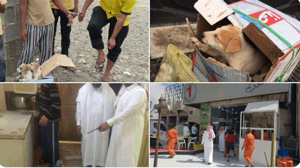 السعودية.. الكشف عن حقيقة بيع لحوم الكلاب في أحد المطاعم