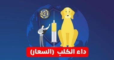 وزارة الصحة: يمكن الوقاية من السعار بالحصول على اللقاح وتجنب الحيوانات