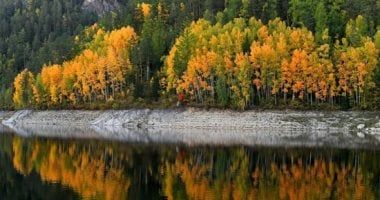 كيف يقود التعليم والغذاء السليم العالم لتحقيق أهداف التنمية المستدامة 2030؟