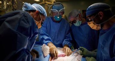 قانون تنظيم زرع الأعضاء البشرية حدد ضوابط عمليات نقل وزرع الخلايا