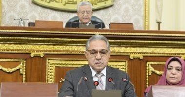 السجينى: ننتظر إحالة مشروع قانون المجالس المحلية ونتمنى خروجه للنور قريبا