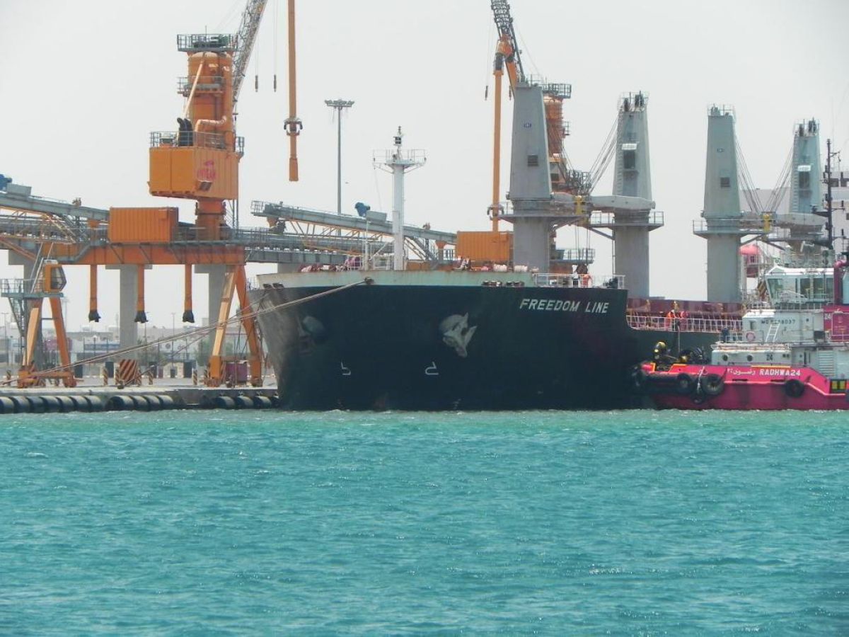 المملكة تستورد 795 ألف طن قمح لدعم المخزون الاستراتيجي