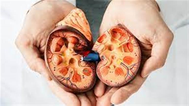 هذا ما يحدث للكلى عند تناول البلح باللبن - مفاجأة