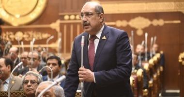 رئيس برلمانية الشعب الجمهورى: الرئيس السيسي أسس لنهضة قومية جديدة