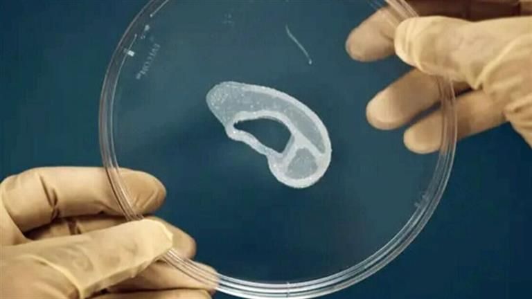 العلم يقترب من إنجاز "أذن اصطناعية" بديلة تُعيد السمع للملايين