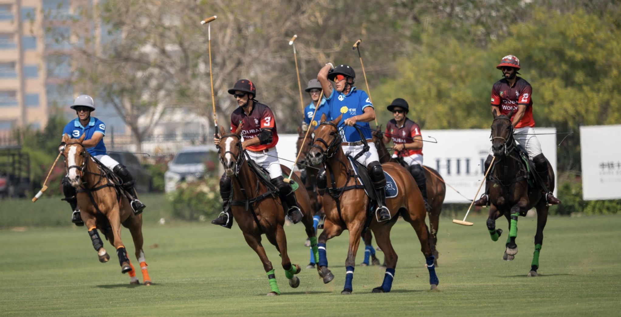 الامارات | 4 فرق تشارك في بطولة الماسترز للبولو