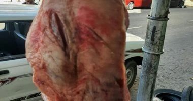 الطب البيطرى: ضبط 6.6 أطنان لحوم غير صالحة للاستهلاك الآدمى فى الجيزة