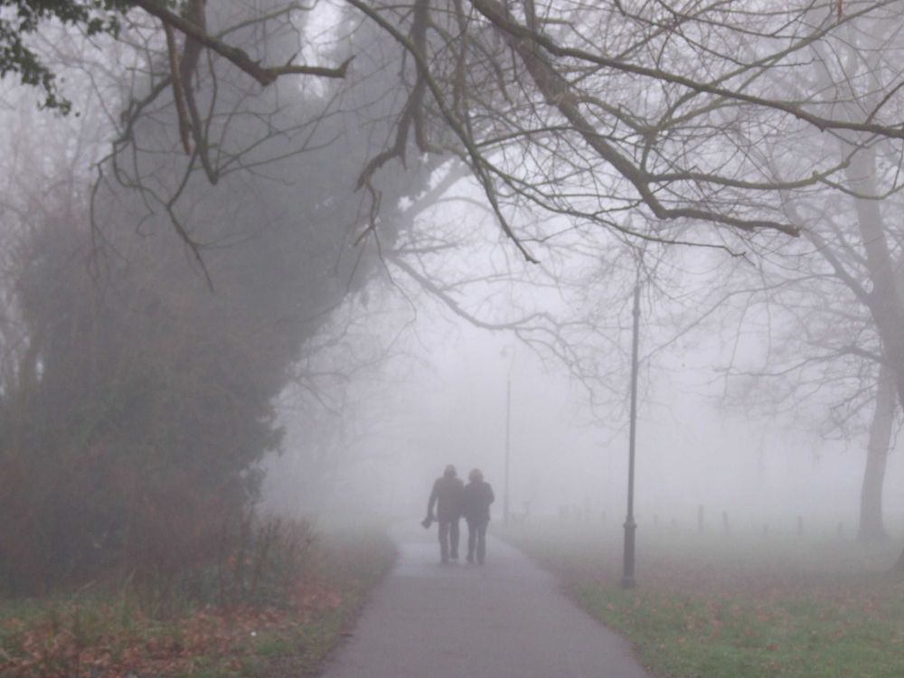 طقس الصباح الباكر.. ضباب وأمطار متوسطة على أجزاء من الرياض