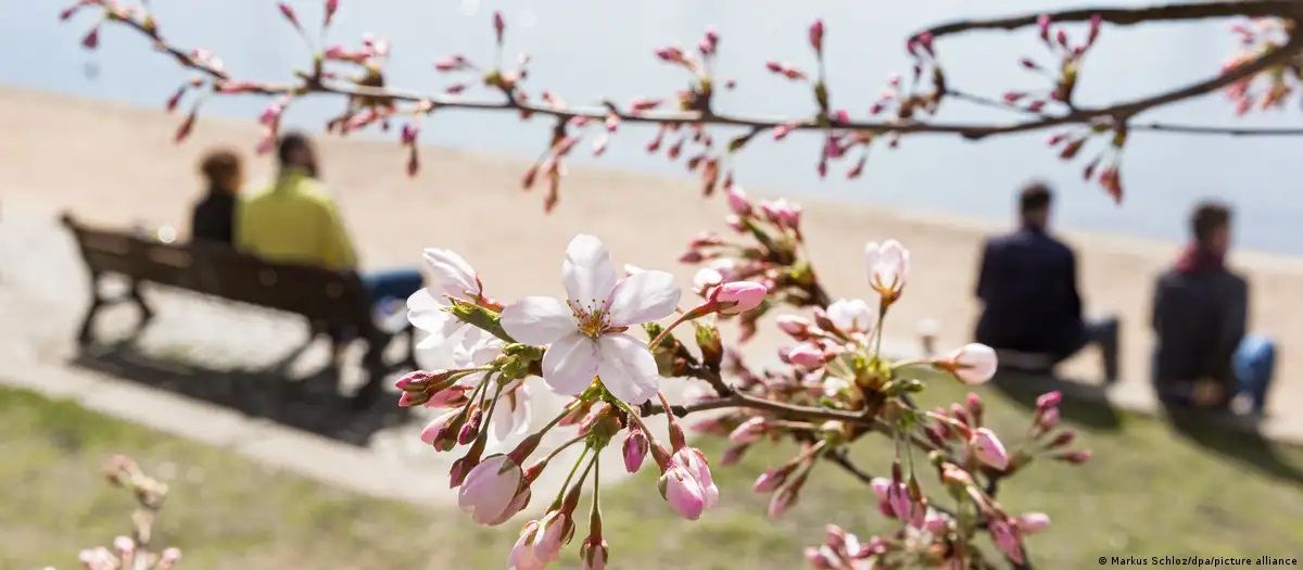 الامارات | ما هو«خمول الربيع»... ؟ وهل تعاني منه؟