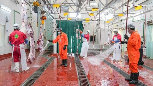 مسالخ الظفرة جاهزة لاستقبال عيد الفطر المبارك