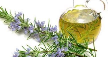 5 فوائد صحية مذهلة لزيت إكليل الجبل.. اعرف التفاصيل