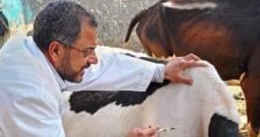 الطب البيطرى: حملات رعاية بيطرية بالمنيا لتوعية المربين وتحصين الماشية