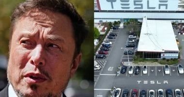 تكنولوجيا: مشكلة السيارات الكهربائية فى الصين تؤثر على إيلون ماسك.. اعرف التفاصيل