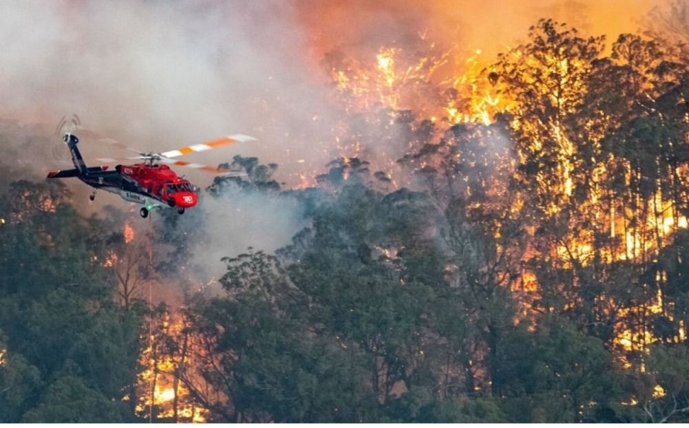 حالة تأهب.. حرائق الغابات تهدد جزيرة كريت في اليونان