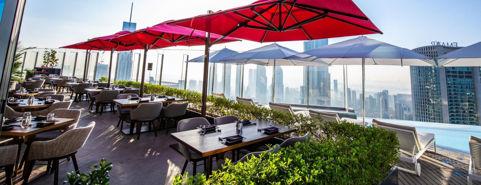 الامارات | رحلة مبهجة من النكهات وسط مناظر دبي الخلابة