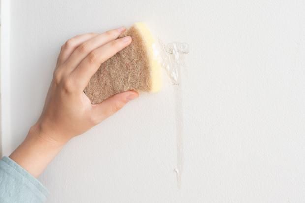 4 خطوات لتنظيف جدران المنزل قبل العيد.. «لمعان من غير خدش»