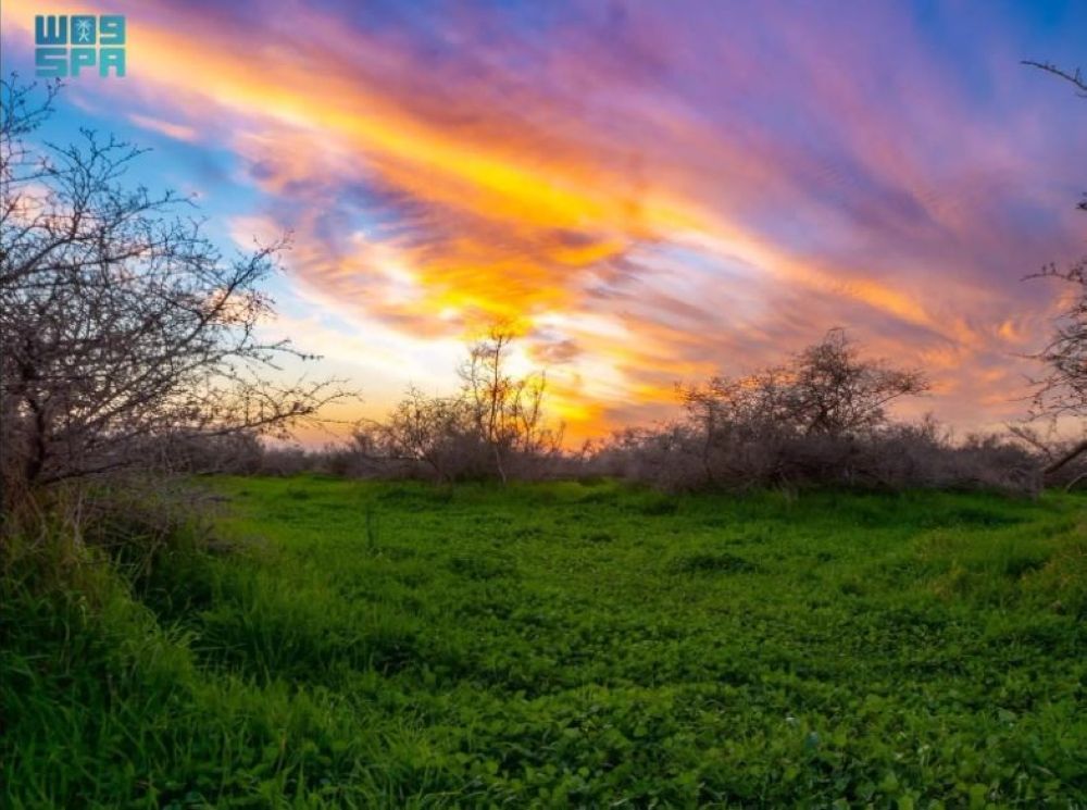 محمية الإمام تركي الملكية تعلن فعالياتها خلال عيد الفطر.. اعرفها