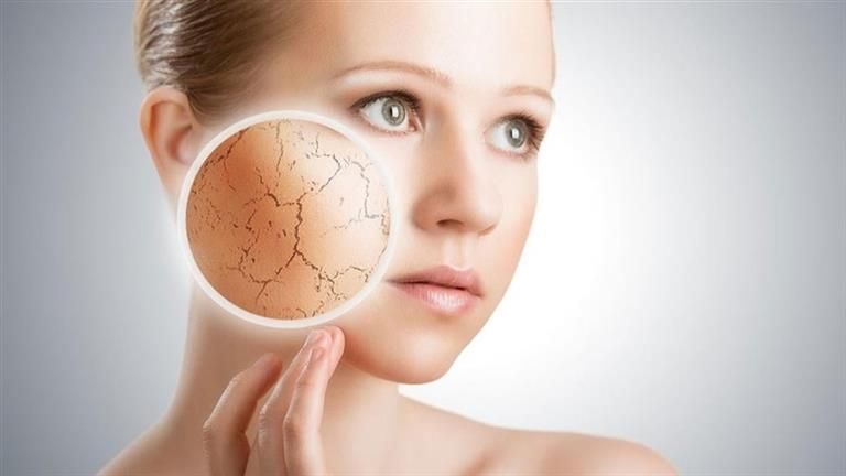 زيت زهرة الربيع المسائية.. ينبوع صحة وجمال البشرة