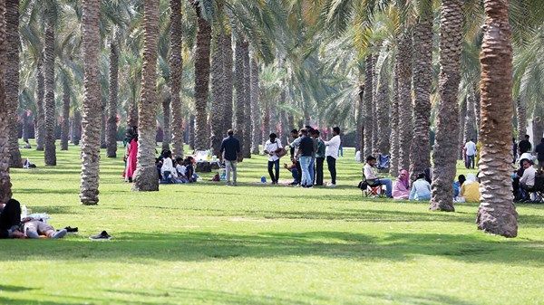 بهجة العيد تعم حدائق وشواطئ الشارقة