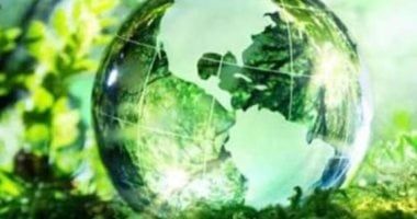 الأخشاب فى المقدمة.. تعرف على أهم المشروعات الخضراء