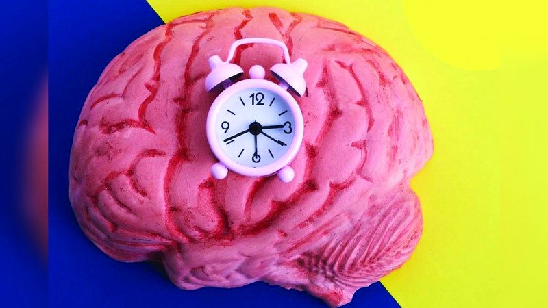 الامارات | أخصائيون: اضطراب الساعة البيولوجية  يؤثر سلباً في التحصيل الدراسي