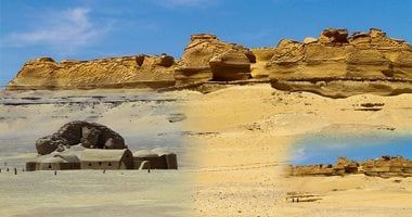 9 أنشطة يمكنك ممارستها فى محمية وادى الحيتان بالفيوم.. تعرف عليها