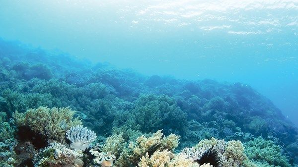 8 تطبيقات جغرافية توفر بيانات لـ«البيئة الإماراتية»