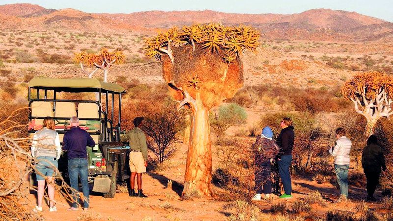 الامارات | إطلالة على «نهاية العالم».. لوحة ملونة بالسحر و«الخمسة الكبار»