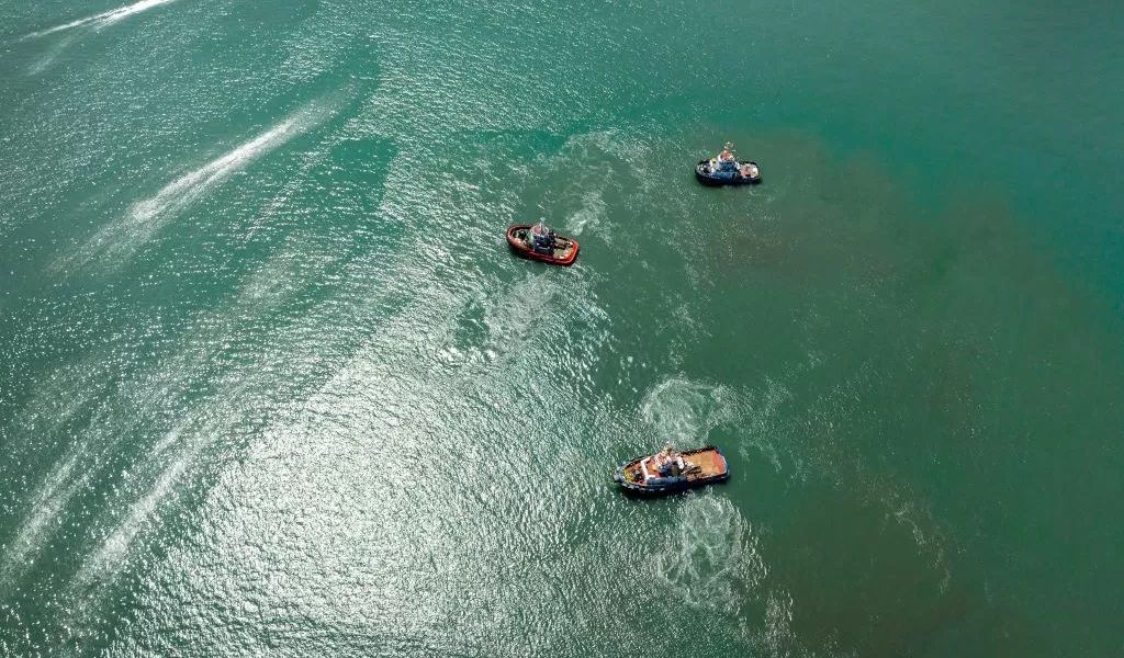 الامارات | كلمة  مكتوبة بـ"سعف النخيل" تنقذ 3 رجال