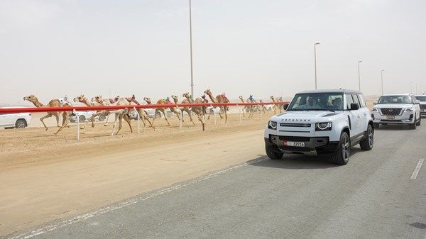 منصور بن زايد يشهد منافسات اليوم الخامس للمهرجان الختامي السنوي لسباقات الهجن العربية على سيف رئيس الدولة