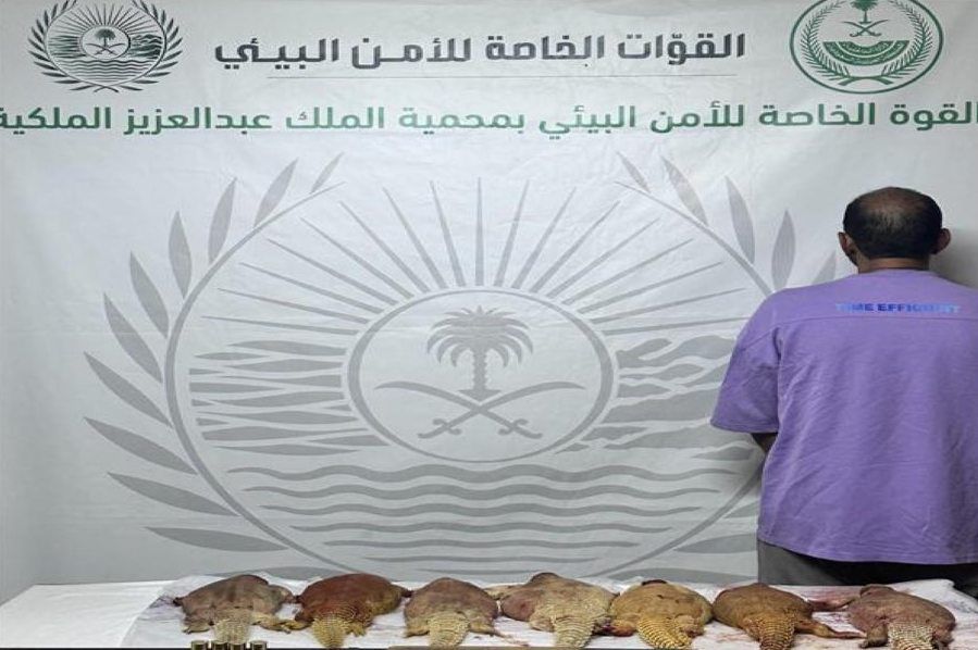 السعودية | القبض على مخالف لنظام البيئة لارتكابه مخالفة الصيد دون ترخيص في محمية الملك عبدالعزيز الملكية