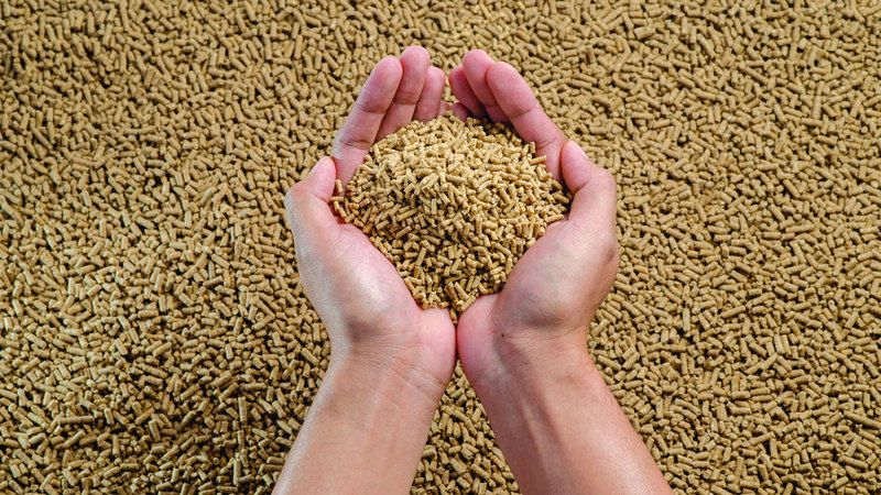 الامارات | 10 شروط لإدراج موردي الأعلاف في «دعم مربي الثروة الحيوانية» بأبوظبي