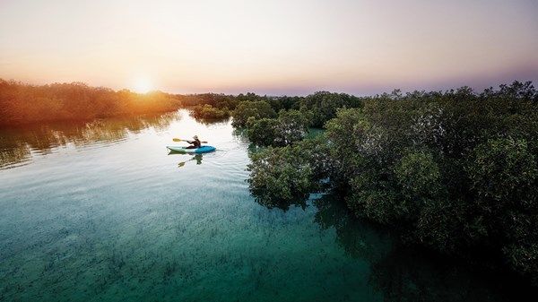 الإمارات.. مبادرات ومشاريع تنتصر للبيئة