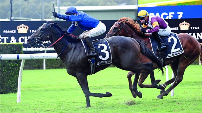 الامارات | «برودسايدنغ» يهدي «غودولفين» لقب «شامبين ستيكس» الأسترالي